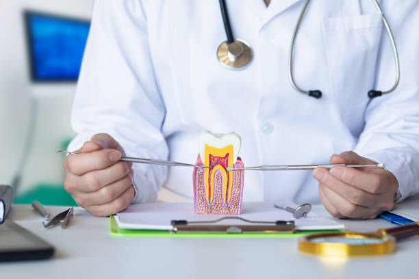 Best Emergency Treatment for Dental Infections or Abscesses in Parker, FL